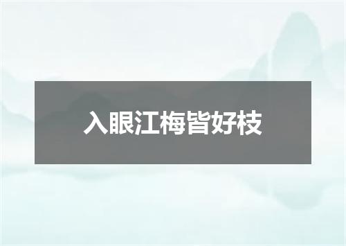 入眼江梅皆好枝