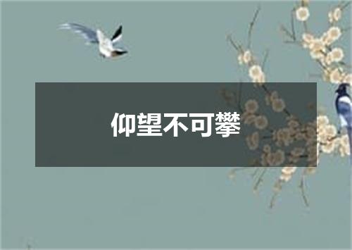 仰望不可攀
