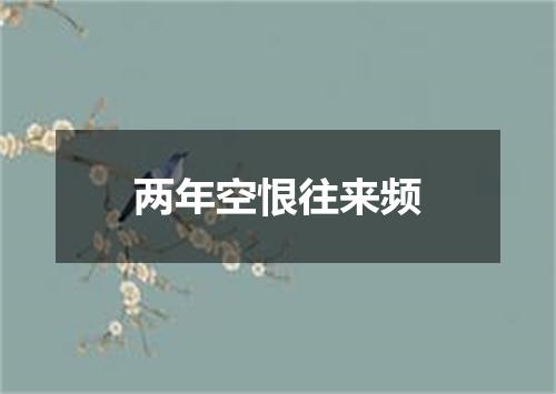 两年空恨往来频