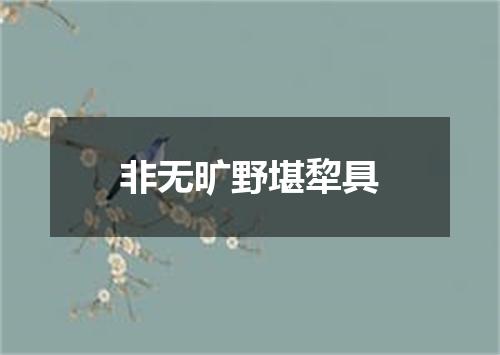 非无旷野堪犂具