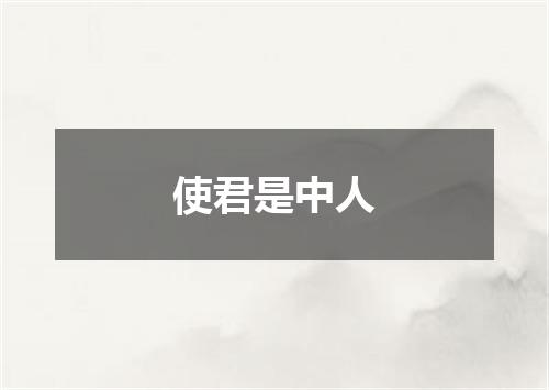 使君是中人