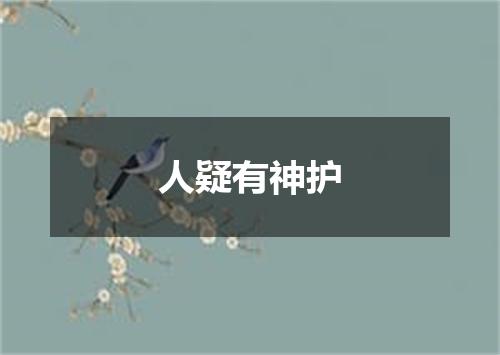 人疑有神护