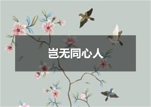 岂无同心人
