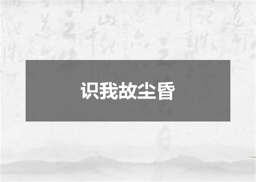 识我故尘昏