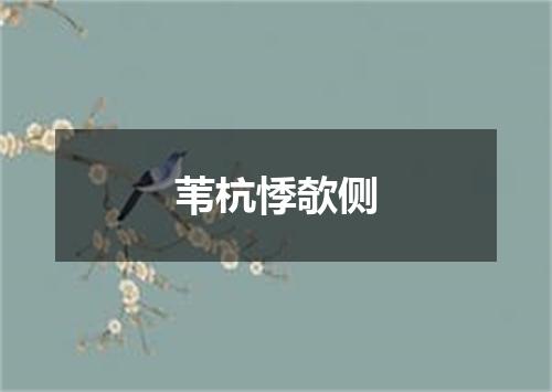 苇杭悸欹侧