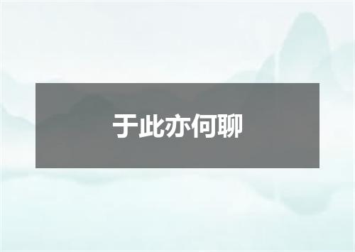 于此亦何聊