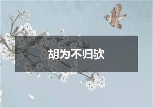 胡为不归欤