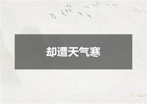 却遭天气寒