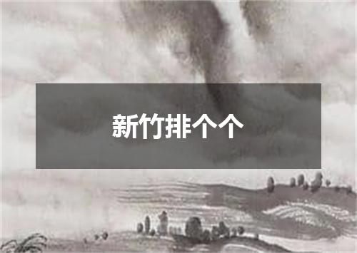 新竹排个个