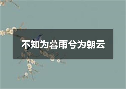不知为暮雨兮为朝云