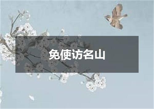 免使访名山