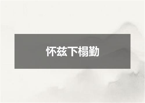 怀兹下榻勤