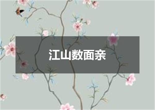 江山数面亲