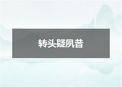 转头疑夙昔