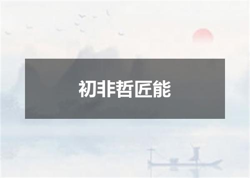 初非哲匠能
