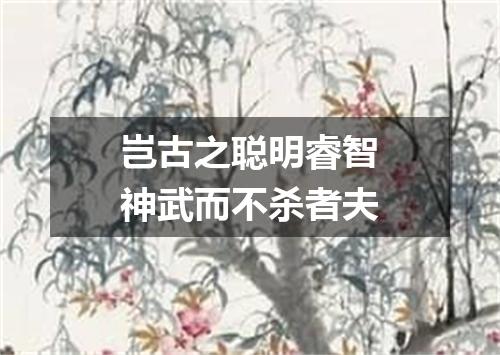岂古之聪明睿智神武而不杀者夫