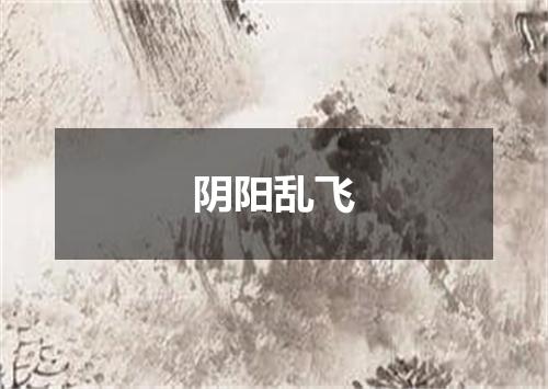 阴阳乱飞