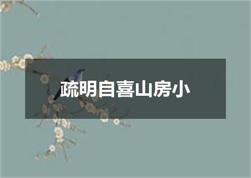 疏明自喜山房小