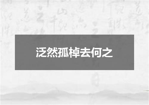 泛然孤棹去何之