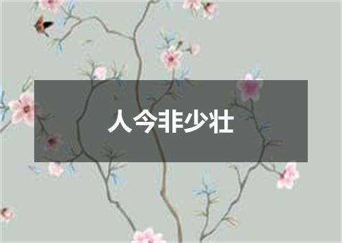 人今非少壮