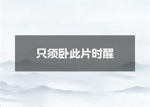 只须卧此片时醒