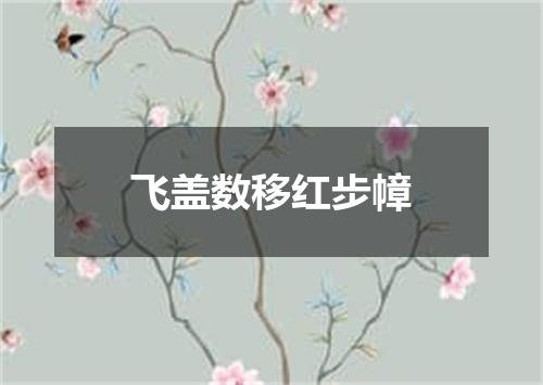 飞盖数移红步幛