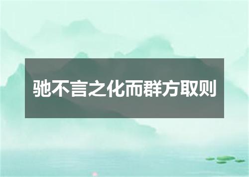 驰不言之化而群方取则