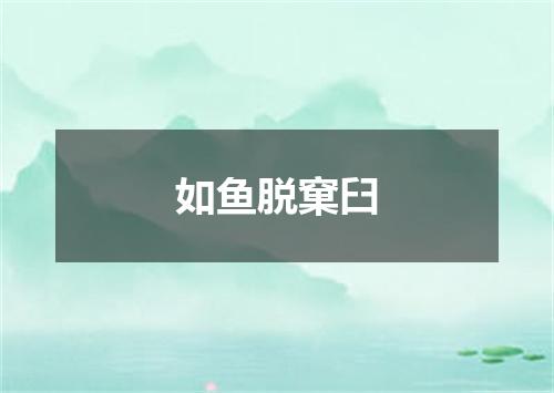 如鱼脱窠臼