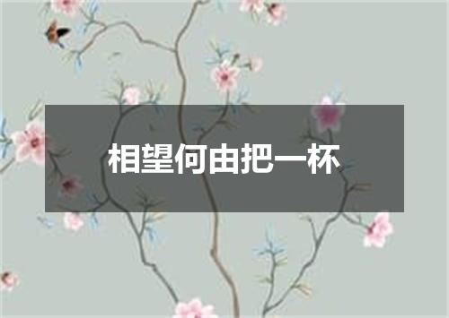 相望何由把一杯