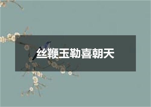 丝鞭玉勒喜朝天