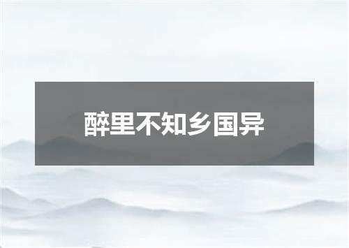 醉里不知乡国异