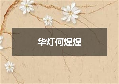 华灯何煌煌