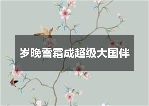 岁晚雪霜成超级大国伴
