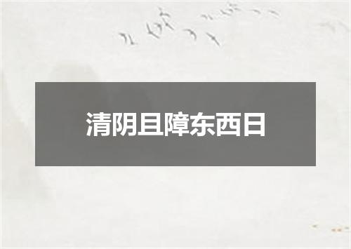 清阴且障东西日