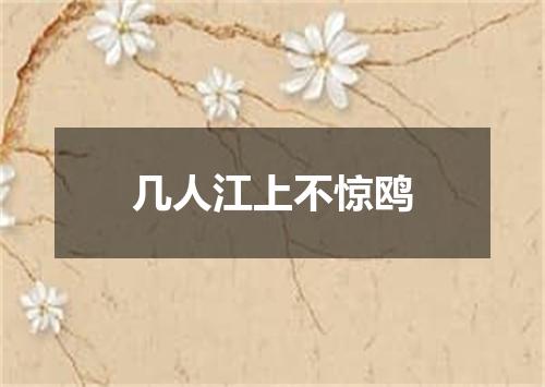 几人江上不惊鸥