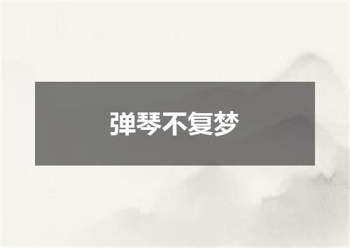 弹琴不复梦