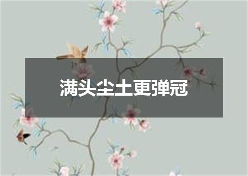 满头尘土更弹冠
