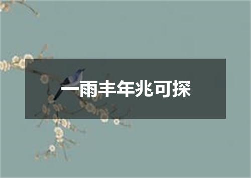 一雨丰年兆可探