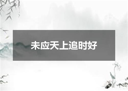 未应天上追时好