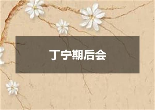 丁宁期后会