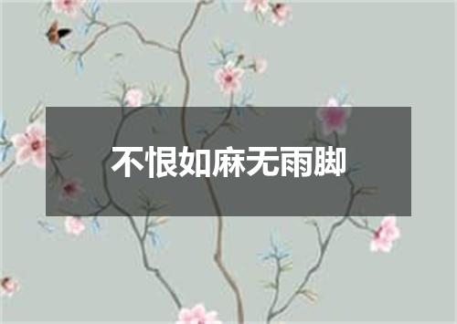 不恨如麻无雨脚