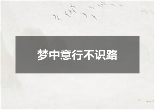 梦中意行不识路