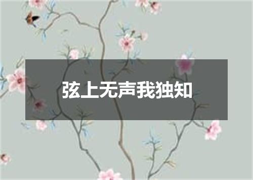 弦上无声我独知