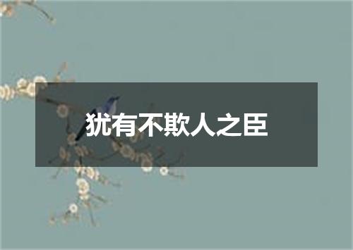 犹有不欺人之臣