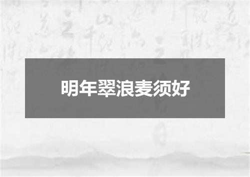 明年翠浪麦须好
