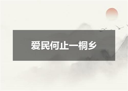 爱民何止一桐乡