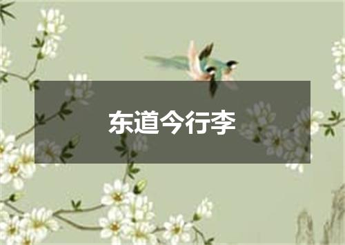 东道今行李