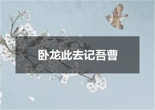 卧龙此去记吾曹