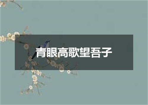 青眼高歌望吾子