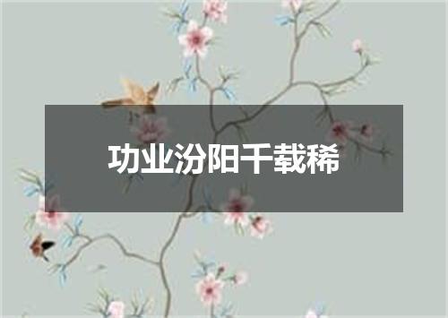 功业汾阳千载稀